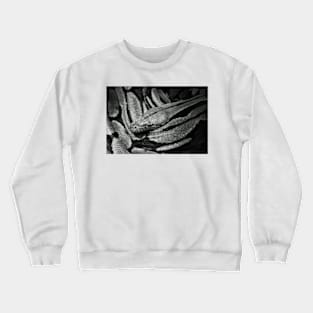 Snake Crewneck Sweatshirt